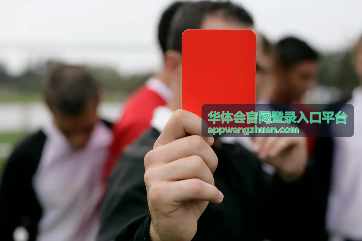安装流程进度界面示意