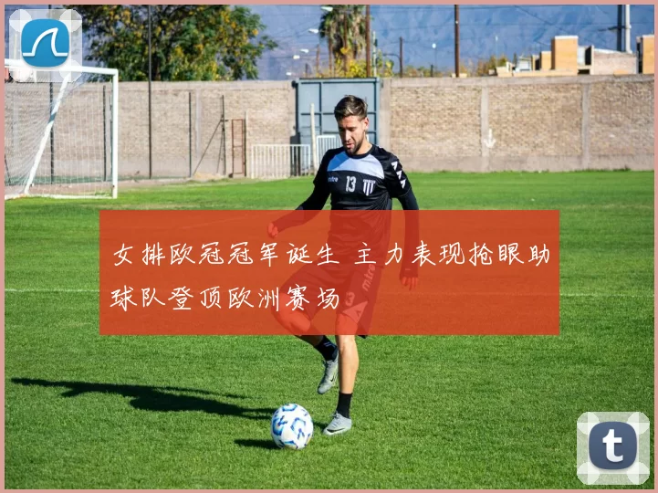 女排欧冠冠军诞生 主力表现抢眼助球队登顶欧洲赛场