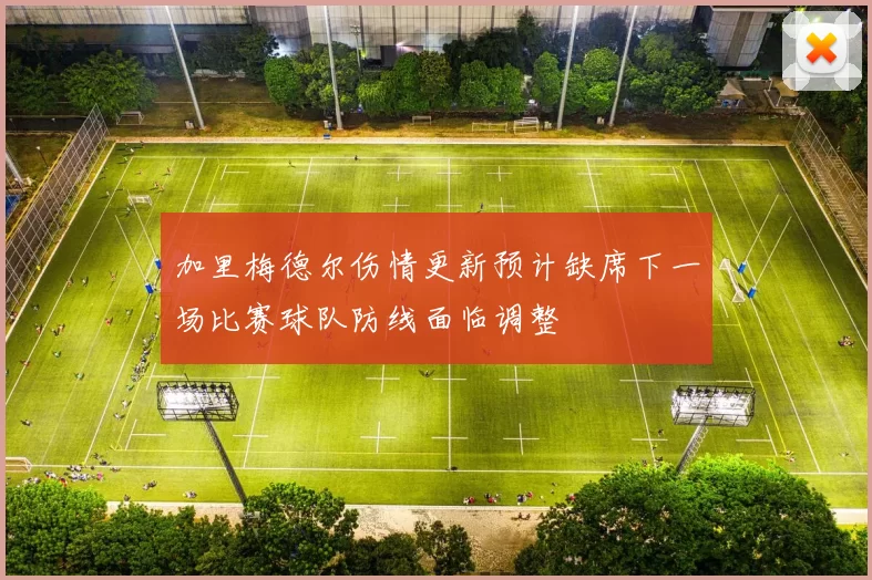 加里梅德尔伤情更新预计缺席下一场比赛球队防线面临调整