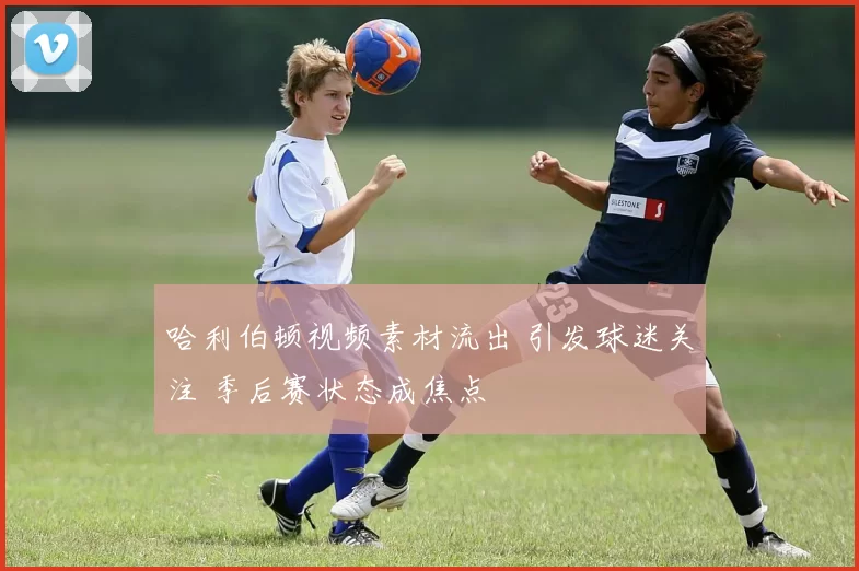哈利伯顿视频素材流出 引发球迷关注 季后赛状态成焦点