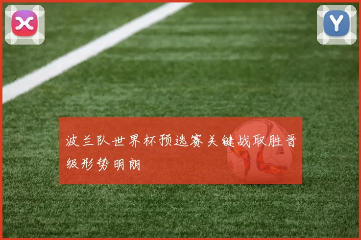 波兰队世界杯预选赛关键战取胜晋级形势明朗